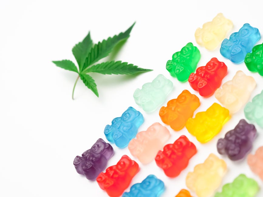 Stay Sharp: Comparing CBD Gummies for Energy